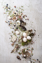 Obraz na płótnie Canvas Easter composition in light colors from broken shells of white eggs as a concept of hatched chicks and an abandoned nest. Imitation of a nest in a forest with moss, dry leaves and nuts.