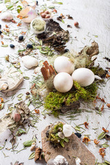 Easter composition in light colors from broken shells of white eggs as a concept of hatched chicks and an abandoned nest. Imitation of a nest in a forest with moss, dry leaves and nuts.
