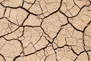 The ground has dried out due to lack of rain and has deep cracks. - 427438873