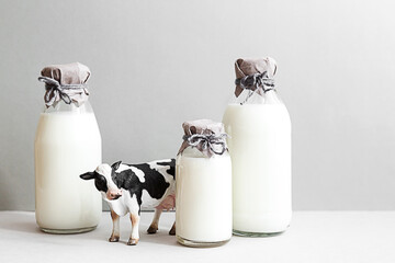 Bottles of fresh milk, a figurine of a cow and a glass of milk on a light gray background....