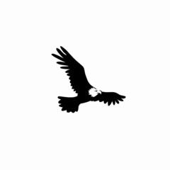 flying eagle icon logo vector illustration in monochrome style