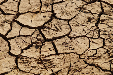 Even a short rain cannot stop the drought