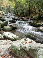 Cascading stream over and around rocks