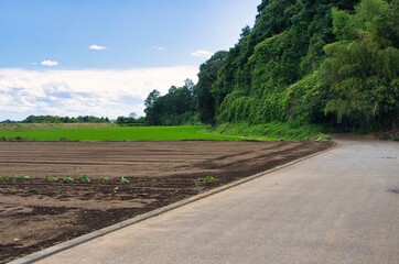 田舎道