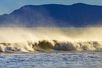 Sea waves forming white foam on sunny day.