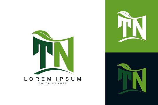 Premium Vector | Tn logo design