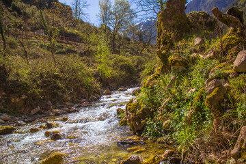 river in the mountains