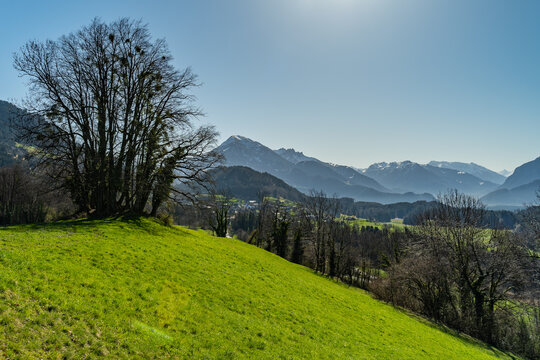 Aussicht &uuml;ber den Walgau nach Bludenz, mit Hoher Freschen und Itonskopf. Wiesen und W&auml;lder von R&ouml;ns bis Schnifis am Anfang des Grossen Walsertal