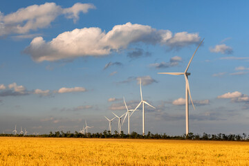 Windmills on yellow field and blue sky background. Alternative energy sources