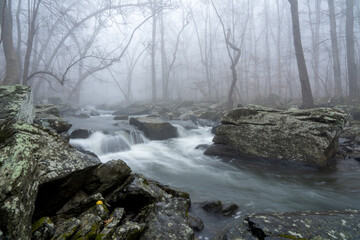Obraz premium Rapids in a Foggy Forest on Winter Morning