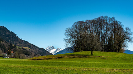 Blick von Düns durch das Großwalsertal zur markanten, verschneiten Berg "Rote Wand". Frühling im Vorarlberg mit Sonnenschein und Schneeresten auf den Bergen. Wald an den steilen Hängen, Wiesen am Dorf