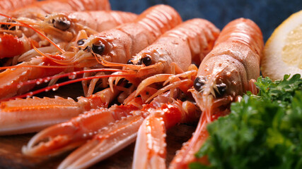 Fresh seafood huge sea shrimps