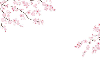 Obraz na płótnie Canvas Blooming cherry sakura. Horizontal rectangular floral banner gradient vector illustration isolated on white background.