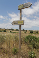 Cartel Manacor, Sant Llorenç