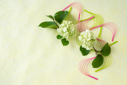 102 Best テマリバナ Images Stock Photos Vectors Adobe Stock