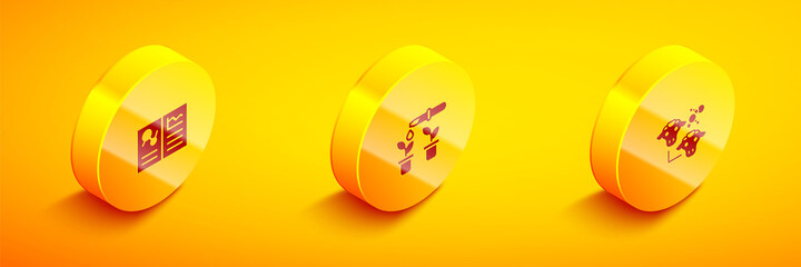 Set Isometric Clinical record, Pipette and plant and Cloning icon. Vector