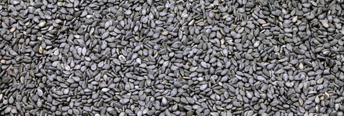 Seeds of black sesame background. Banner. Unpeeled sesame seeds. Healthy food. Nature vitamins. Vegan foods.Raw seeds of sesame