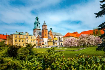 Fotobehang Krakau Wawel Royal Castle in Krakow, Poland.  © photoaliona