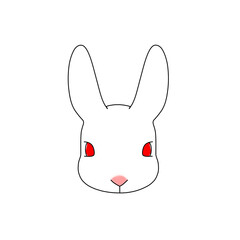 正面から見た白色のウサギの顔