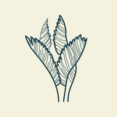 Tropical leaves icon outline drawing. Minimal floral vintage style. Doodle plant vector illustration. Pure nature organic brush. Line drawing. Botanical floral badge. Eco product emblem.