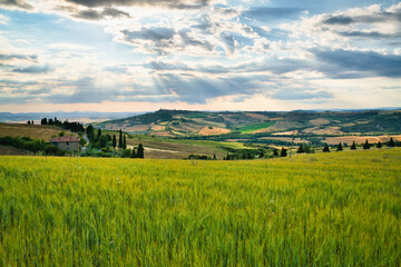 Val d'Orcia, Siena, Tuscany, Italy