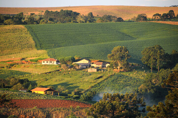 Pequenas propriedades rurais em Irati no Paraná, Brasil, Sul