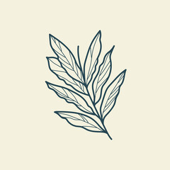 Tropical leaves icon outline drawing. Minimal floral vintage style. Doodle plant vector illustration. Pure nature organic brush. Line drawing. Botanical floral badge. Eco product emblem.