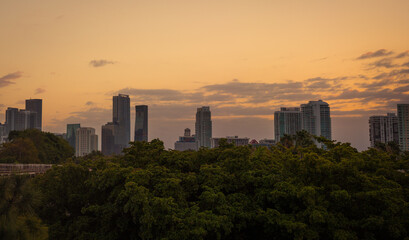 Fototapeta na wymiar city skyline at sunset Miami Florida trees horizon buildings 