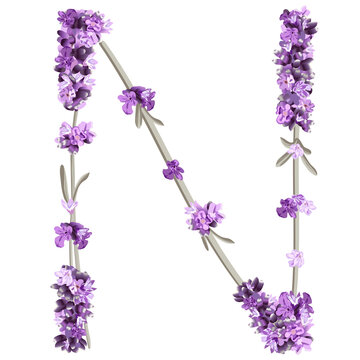 vector image of the capital letter N of the English alphabet in the form of lavender