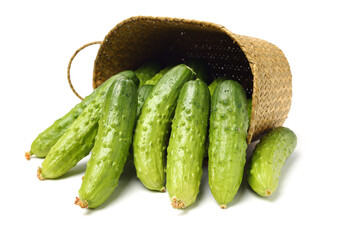 Green cucumber on the white background