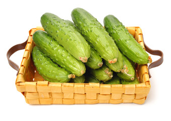 Green cucumber on the white background