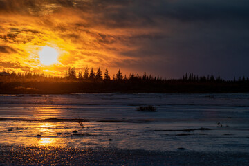 Fototapeta na wymiar A dramatic orange winter sunset over Hudson Bay, Manitoba, Canada