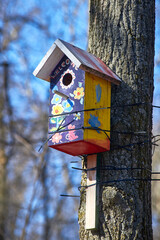 A beautiful colorful wooden birdhouse tied with construction ties to a tree trunk against a blue sky background. Taking care of the birds.