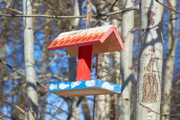 A beautiful colorful wooden bird feeder hangs on a tree branch against a blue sky background. Spring in the forest.