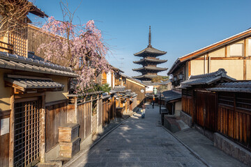 Fototapeta premium 日本 京都 八坂の塔の春と桜景色