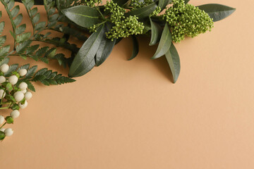 green plants on a beige background.image in natural colors