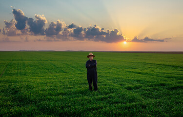 Senior farmer standing in green wheat field at sunset.