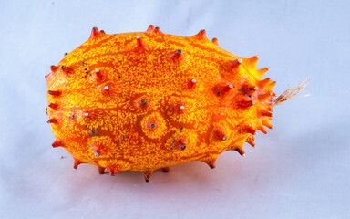 Kiwano (Cucumis metuliferus)