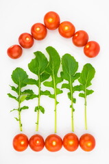 Frame from red cherry tomatoes and arugula. Healthy or diet food concept, food background. Top view,  flat lay.	