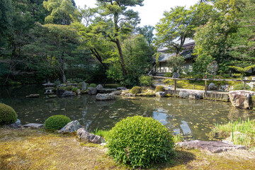 日本 京都 知恩院の春景色