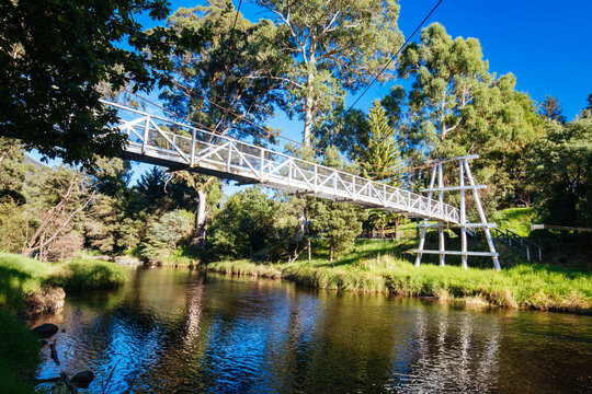 Swing Bridge in Warburton Australia