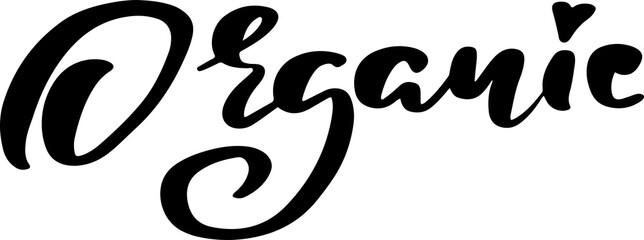 Fototapeta premium Organic lettering. Modern brush calligraphy. Vector typography banner.