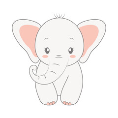 baby elephant isolated