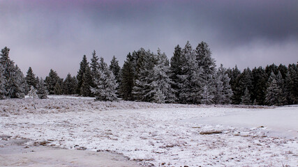 Scenic view of frost covered trees in the hills overlooking the prairies