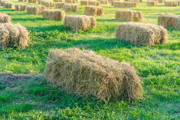 Seats and tables made from straw bales for event and party laid on lawn yard. Straws stubble decorated for sitting in the countryside. Furniture made of pallets and straw bales. Selective focus.