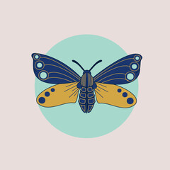 Moth vector illustration. Butterfly template. 