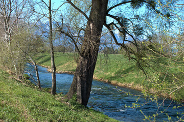Small canal in the nature in Vaduz in Liechtenstein 4.4.2021