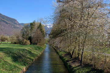 Small canal in the nature in Vaduz in Liechtenstein 4.4.2021