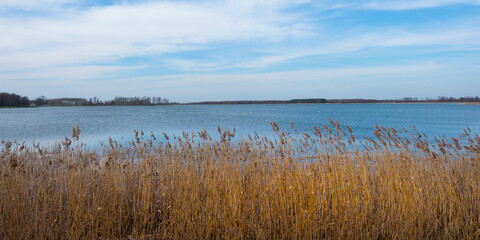 A view of the Krzczeń lake coming to life after winter.