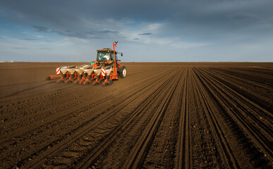 Fototapeta premium Farmer with tractor seeding